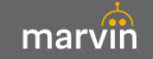 marvin logo