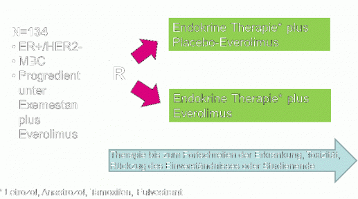 evelyn Studiendesign