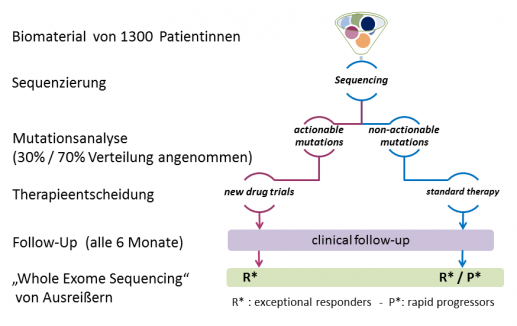Design der Aurora-Studie