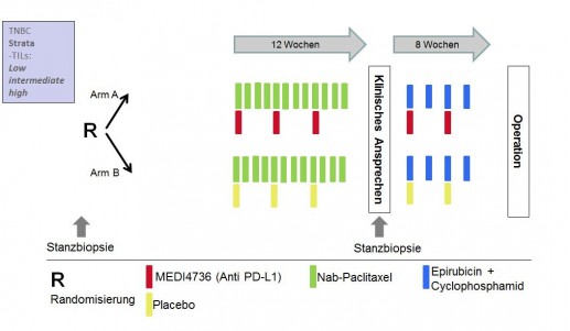 Studiendesign GeparNuevo
