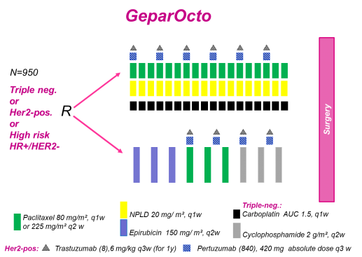 Studiendesign GeparOcto
