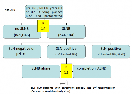 Flow chart INSEMA trial amendment 5