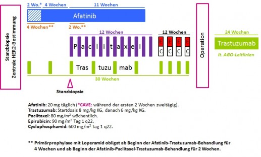 DAFNE - Studiendesign