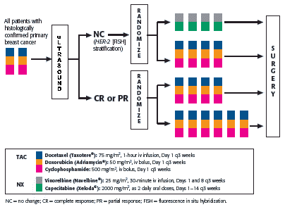 GeparTrio Studiendesign