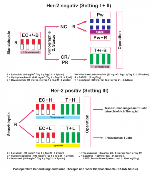 GeparQuinto Studiendesign