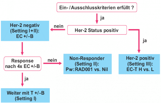 Geparquinto Entscheidungsbaum