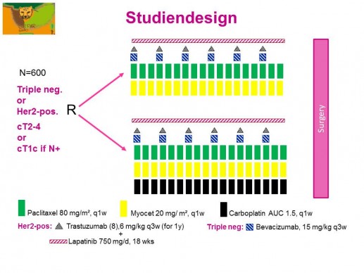 GeparSixto-Studiendesign