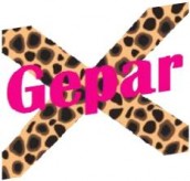 GeparX