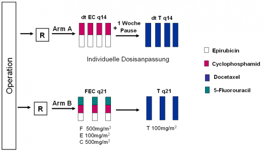 Panther Studiendesign