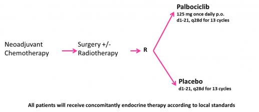 Studiendesign Penelope